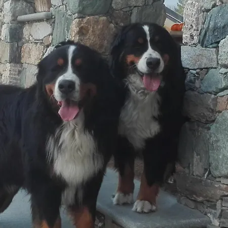 فندق مبيت وإفطار Strada Antica 3*