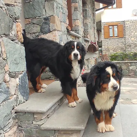 Strada Antica Novalesa